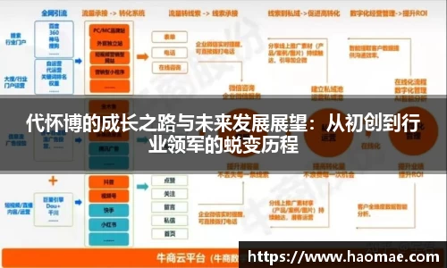 代怀博的成长之路与未来发展展望：从初创到行业领军的蜕变历程
