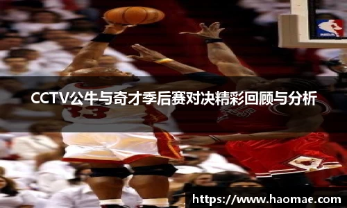CCTV公牛与奇才季后赛对决精彩回顾与分析